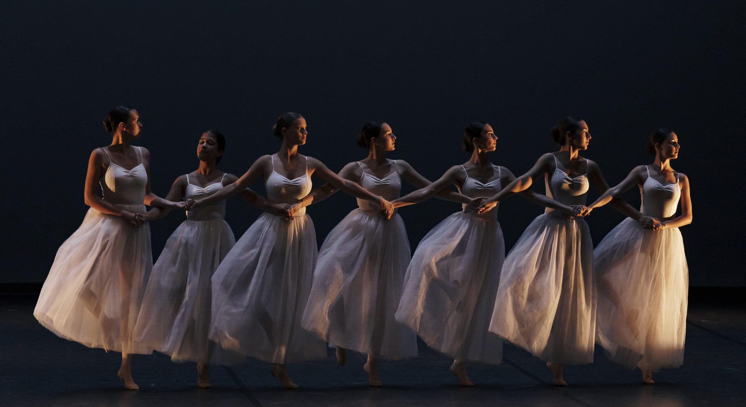 Color Dansa — official school photo