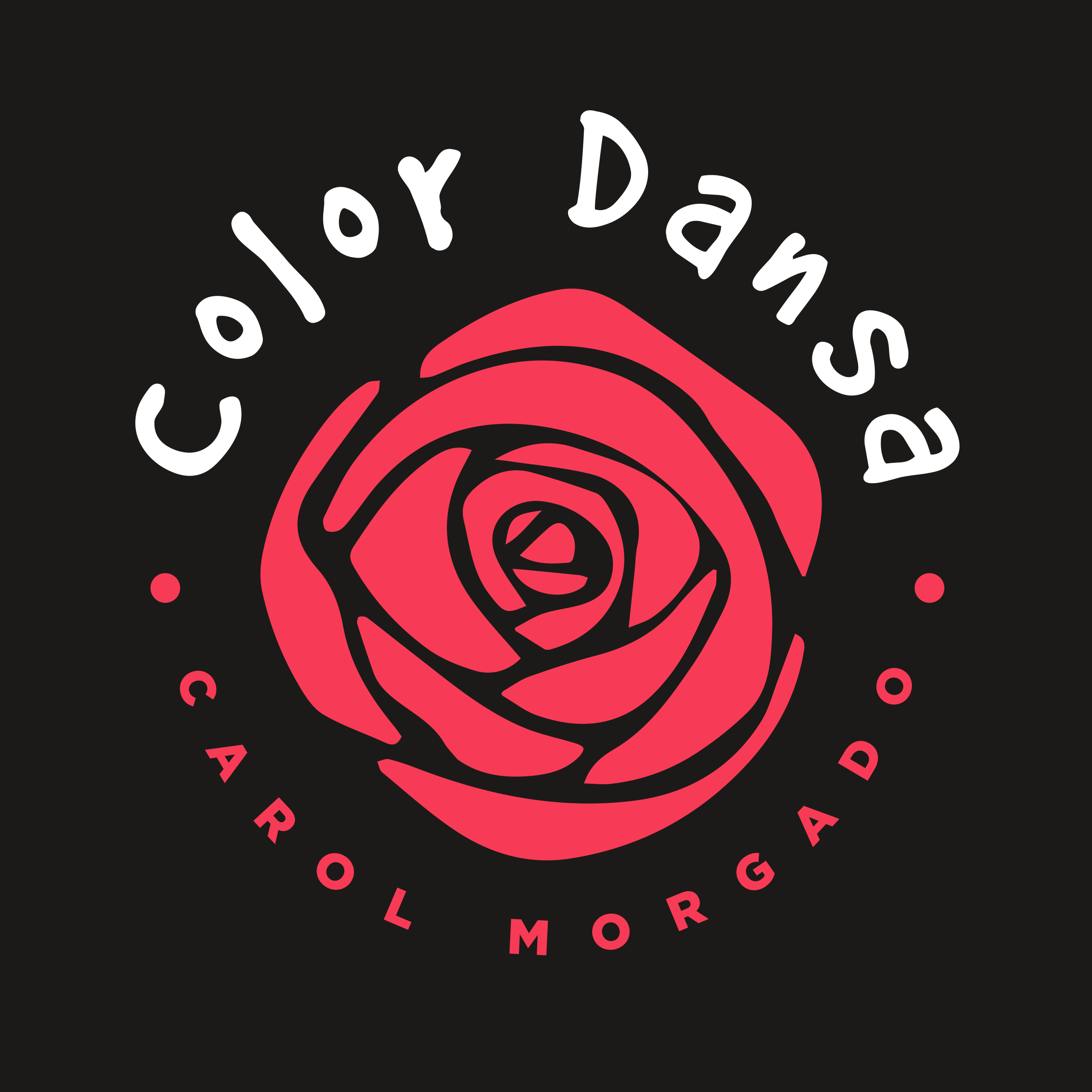 colordansacarolmorgado's profile picture